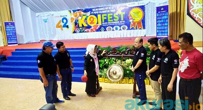 festival koi