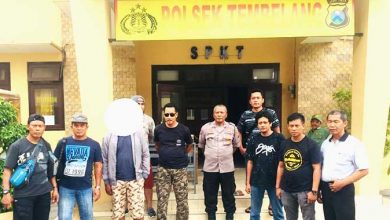 Tambang Ilegal