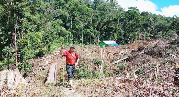 Calon Bupati Mahulu