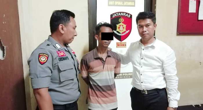 sarang burung