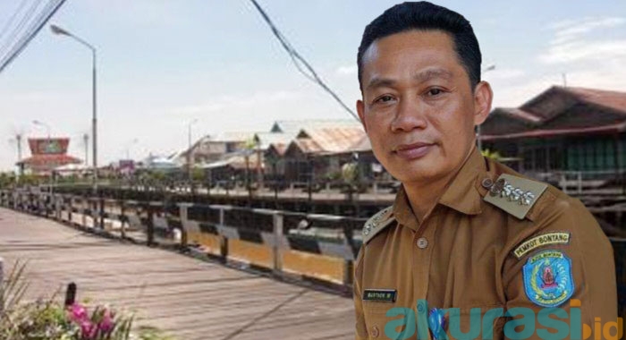 relokasi kandang babi