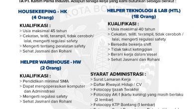 lowongan kerja pt yepeka usaha mandiri