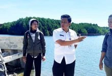 survei izin prinsip