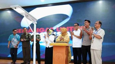 program indonesia terang