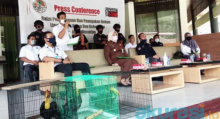 gakum lhk kalimantan