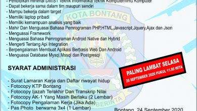 Lowongan Kerja Dinas Ketenagakerjaan