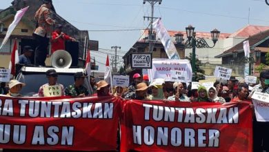 Pemerintah Mulai Hapus Tenaga Honorer November 2023, Ini Gantinya