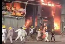 Tragedi di Smelter Nikel Morowali: 19 Jiwa Melayang Akibat Kecelakaan Tungku Smelter Nikel