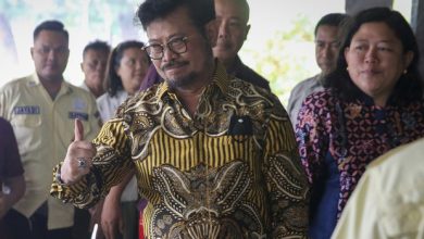 Nasib Petani di Tengah Kasus Korupsi Syahrul Yasin Limpo: Dampak Serius pada Sektor Pertanian