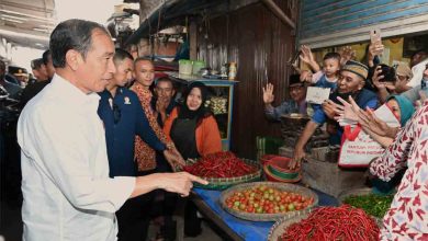 Presiden Jokowi Tinjau Harga Bahan Pokok di Pasar Baru Karawang, Stok Beras Cukup