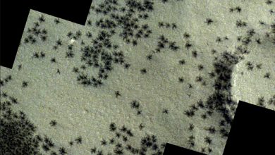 Mengungkap Misteri 'Laba-laba Raksasa' di Mars: Fenomena Alam dan Pareidolia