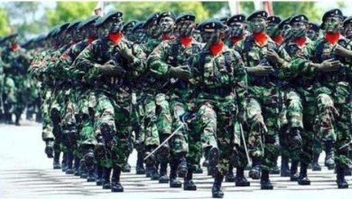 Kontroversi Penghapusan Larangan Berbisnis Bagi Prajurit TNI Pro dan Kontra