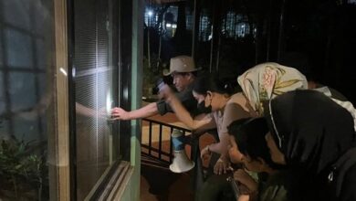 Wisata Malam “Night at the Ragunan Zoo” Resmi Dibuka, Warga Jakarta Antusias Nikmati Suasana Baru di Kebun Binatang